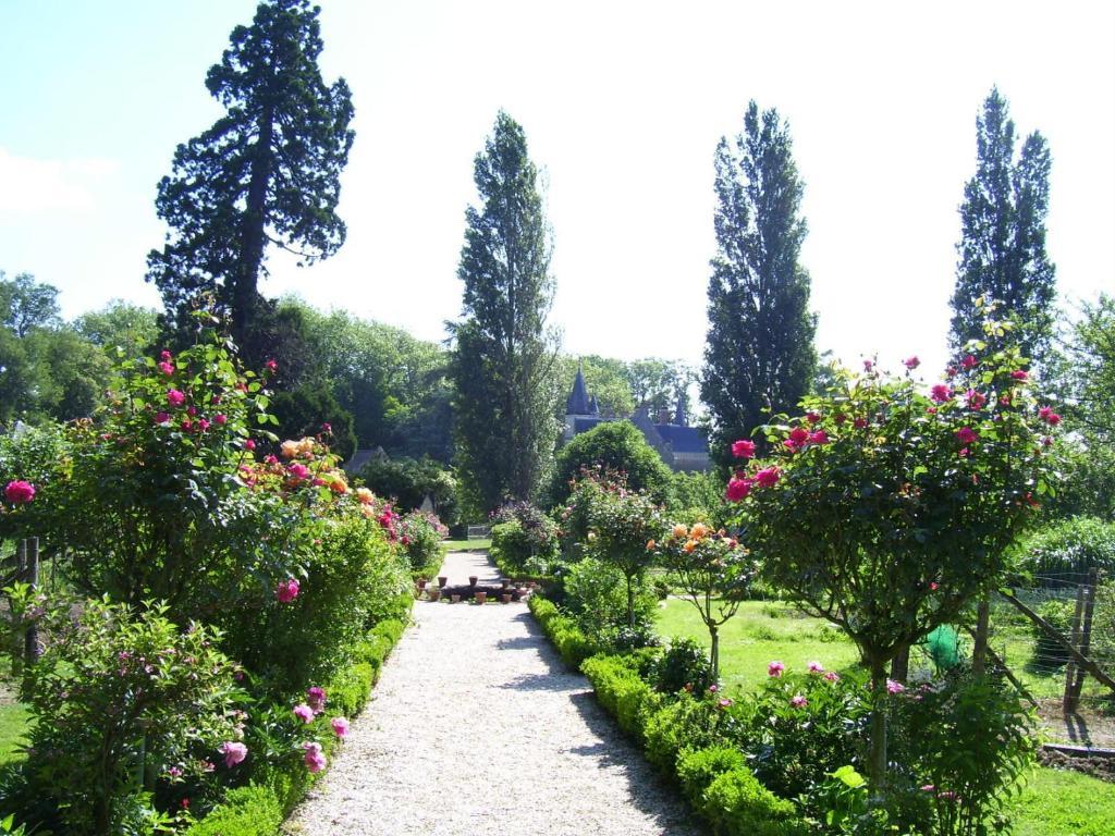Chateau De Montriou Feneu Exterior foto